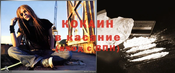 шишки Бежецк